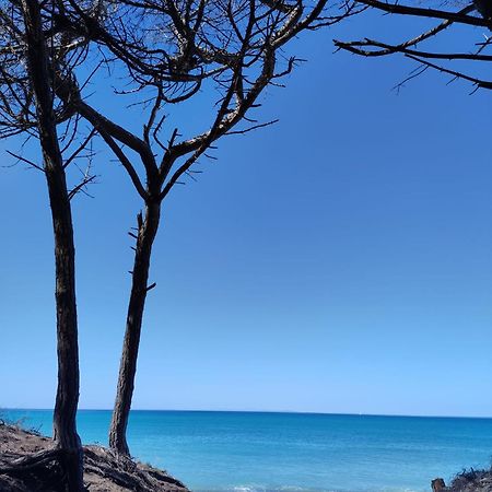דירות ריפרבלה Mare Toscano מראה חיצוני תמונה
