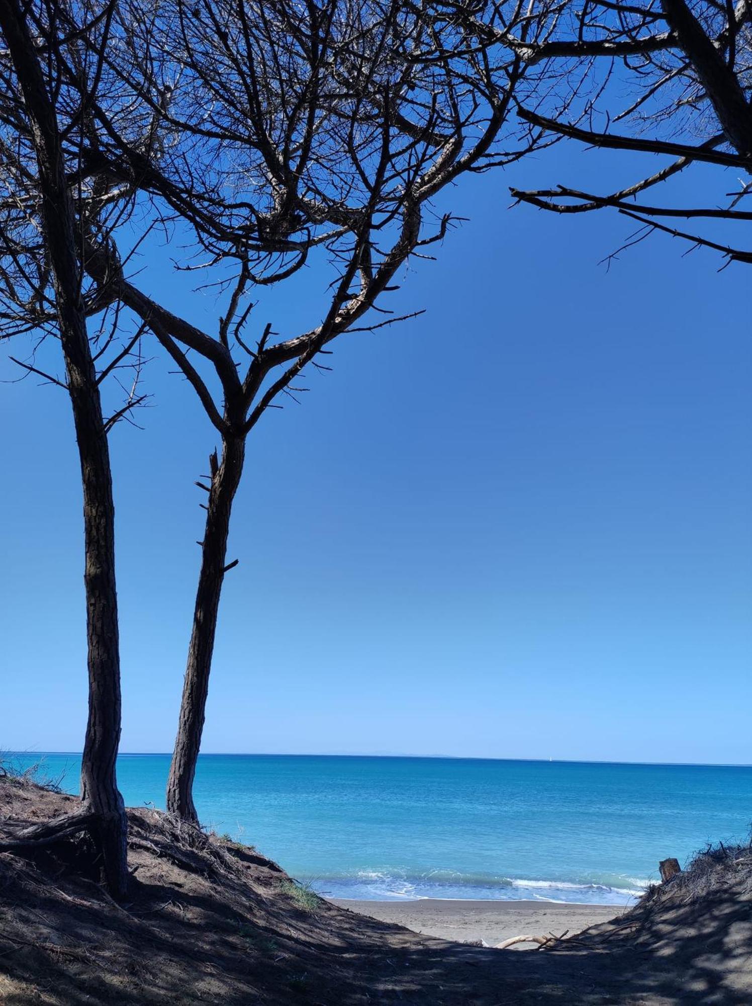 דירות ריפרבלה Mare Toscano מראה חיצוני תמונה